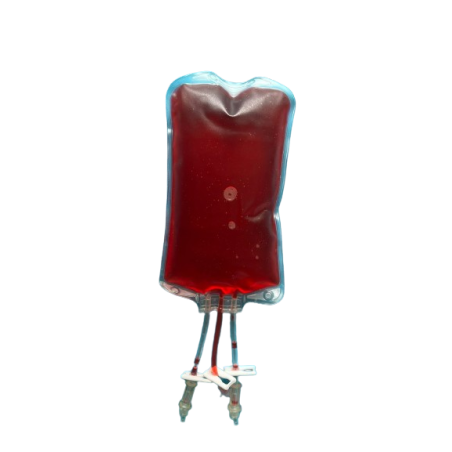 ES01-RED Fluido Sanguíneo